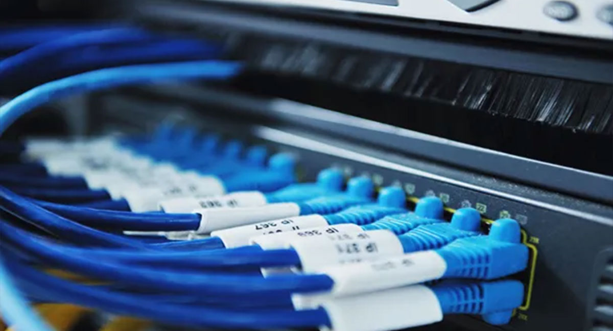 Switchler: Ağların Yönlendirme Kahramanları