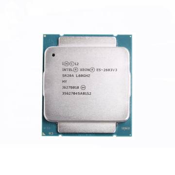 Intel Xeon E5-2603 v3 İşlemci (6Core,1.60GHz)